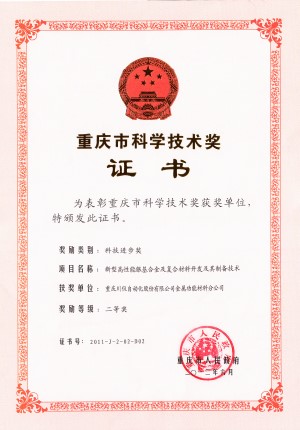 202008189760